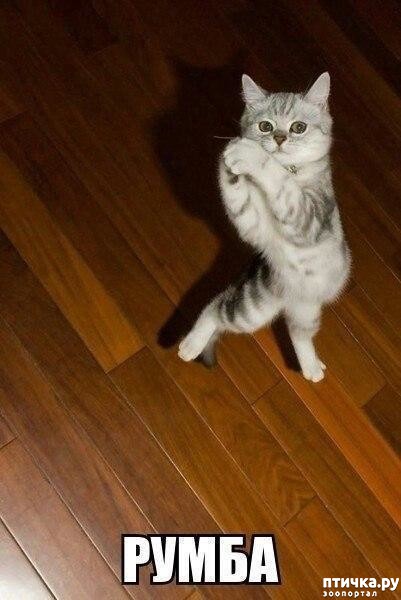 ���� 4: ������� ���!