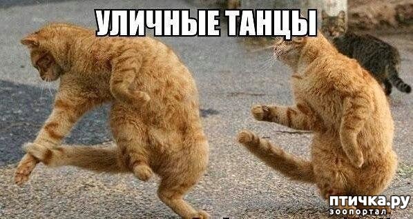 ���� 5: ������� ���!