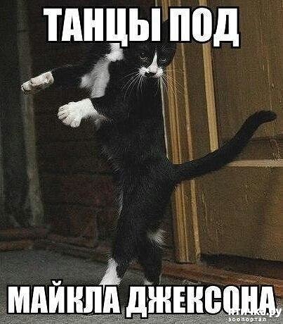 ���� 8: ������� ���!