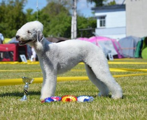 ����: ����������� ��������� �����. ����������, ����������, ����������...