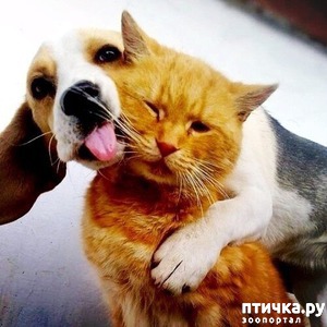 ����: ��� �� �����������!