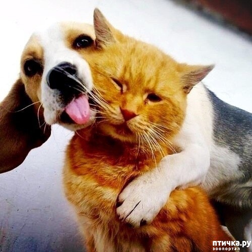 ���� 1: ��� �� �����������!