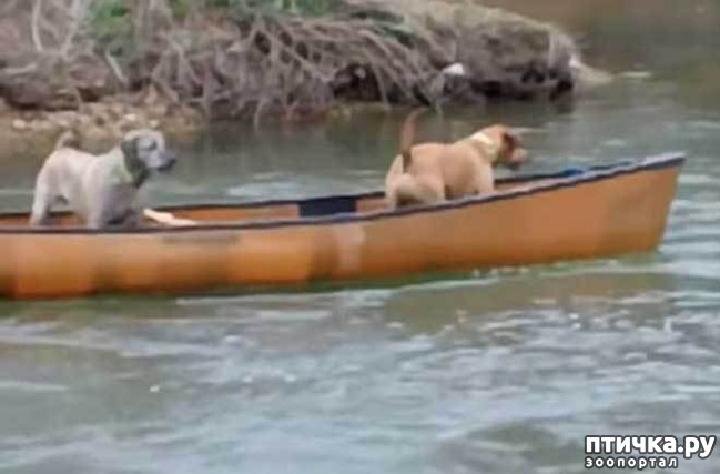 ���� 1: ��� ���������� ������ �� �����