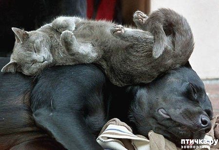 ���� 3: ��� �� �����������!