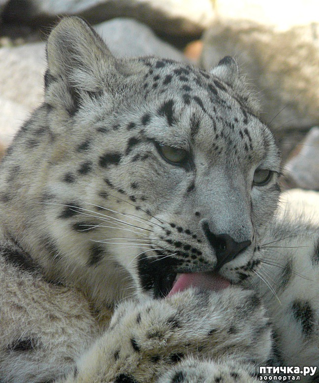 ���� 1: ������� ����