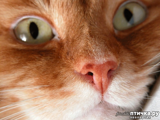 ���� 1: ��� ����� ��������