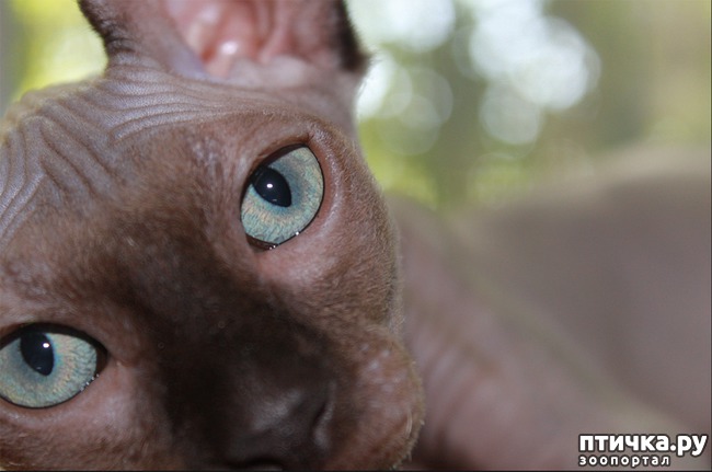 ���� 2: ��� ����� ��������