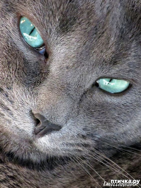 ���� 3: ��� ����� ��������