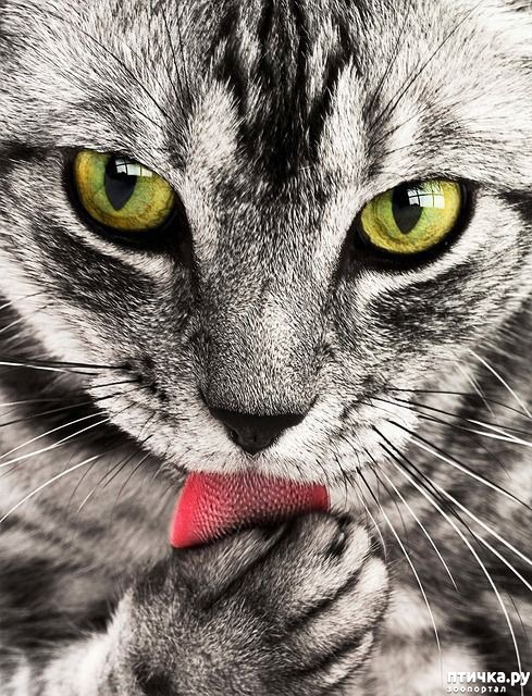 ���� 5: ��� ����� ��������