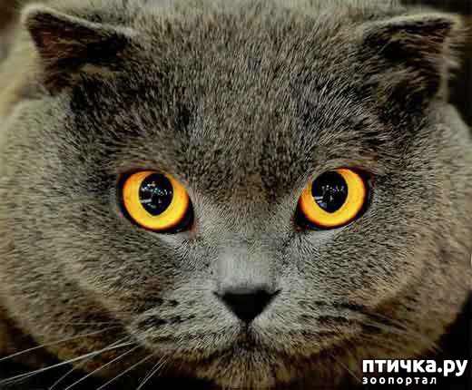 ���� 6: ��� ����� ��������