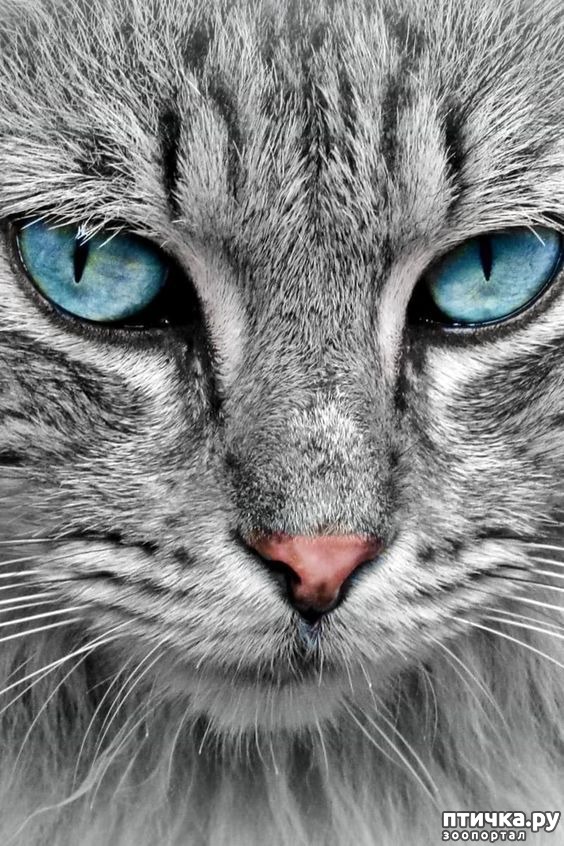 ���� 7: ��� ����� ��������