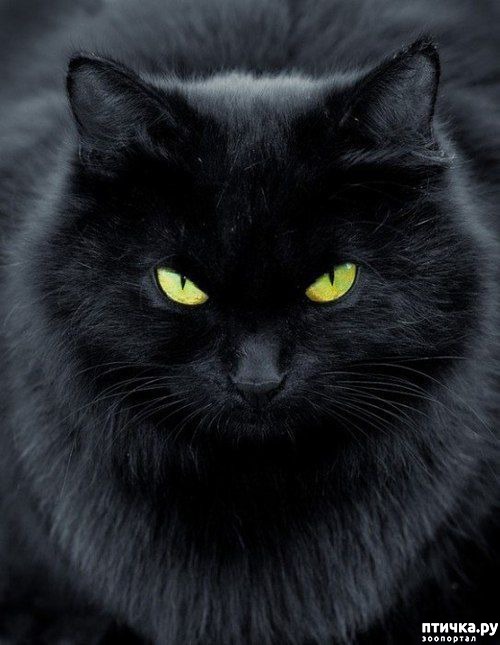 ���� 8: ��� ����� ��������