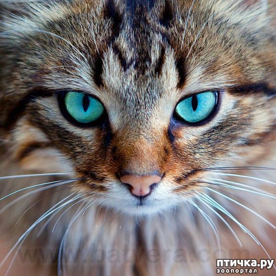 ���� 10: ��� ����� ��������