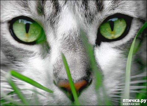 ���� 11: ��� ����� ��������