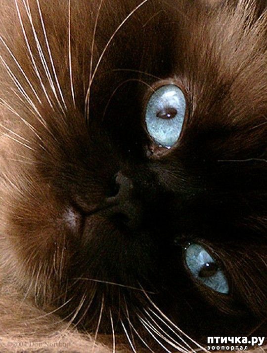 ���� 12: ��� ����� ��������