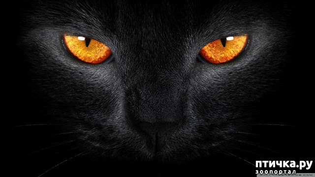 ���� 13: ��� ����� ��������