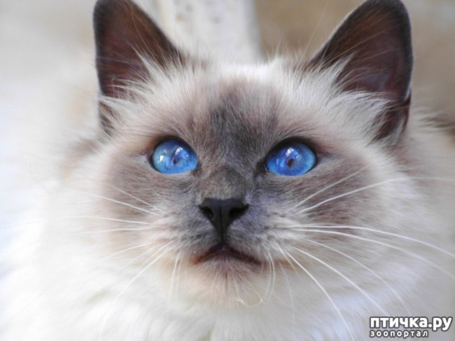 ���� 14: ��� ����� ��������