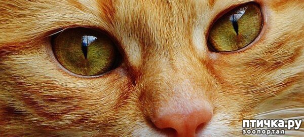 ���� 15: ��� ����� ��������