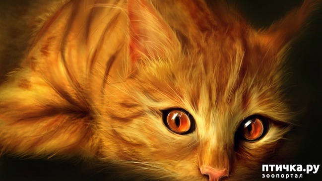 ���� 16: ��� ����� ��������