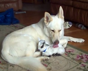 ����: �������� ���� ��� ���������� ��������