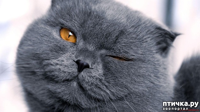 ���� 17: ��� ����� ��������