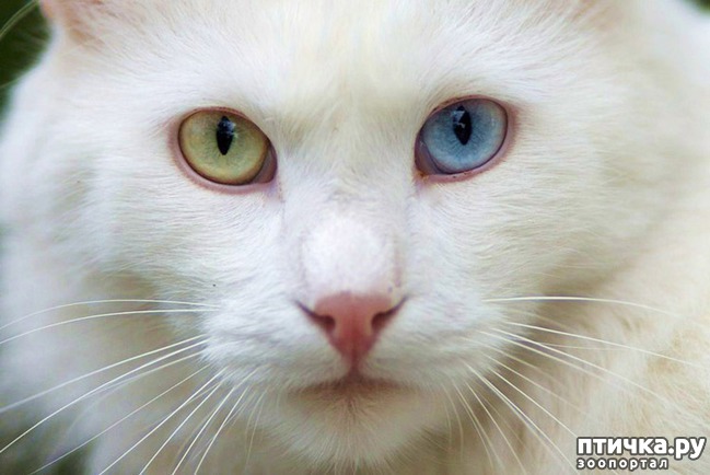 ���� 18: ��� ����� ��������