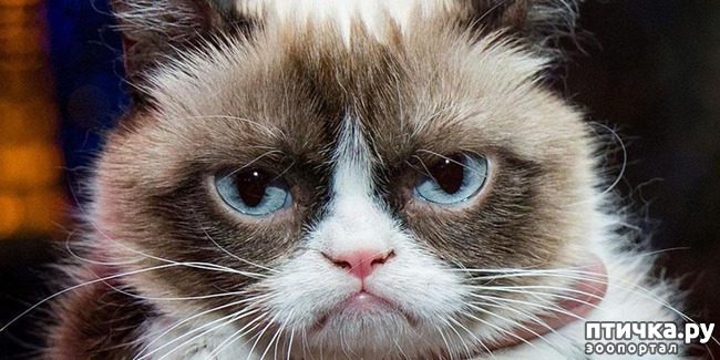 ���� 19: ��� ����� ��������