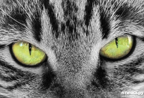 ���� 20: ��� ����� ��������