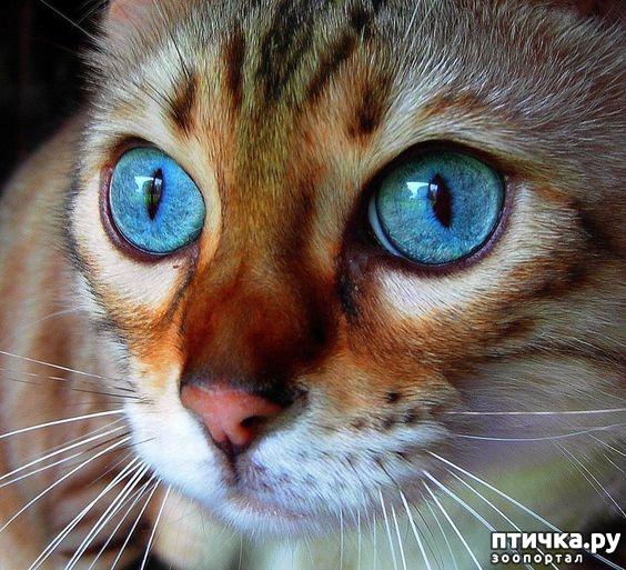 ���� 21: ��� ����� ��������