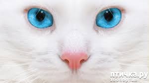 ���� 22: ��� ����� ��������