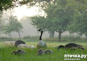 ����: ������ ����, ����� ����.