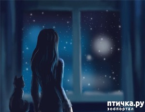 ����: �������� �������