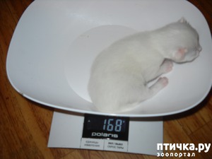 ����: �����, �����! (����� �).