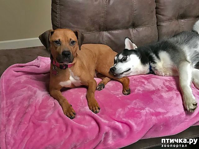 ���� 5: ���������� � ��������������� ������)))