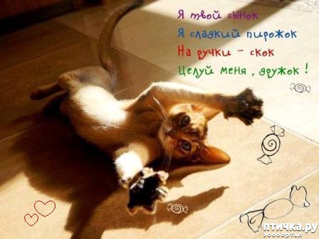 ���� 2: ������������ ���� 