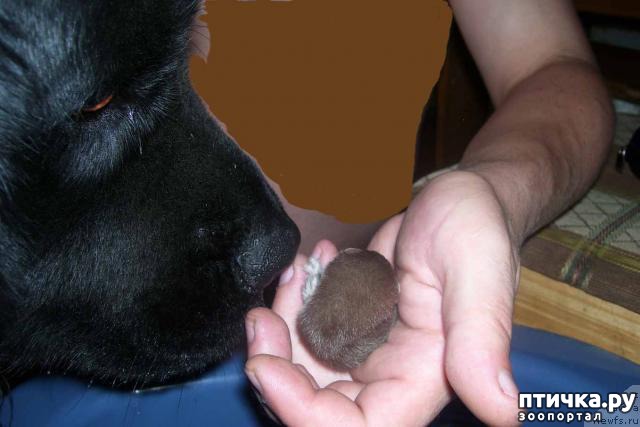 ���� 2: ������� ���� �� ����������, ���� �� ����))