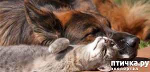 ����: ������������ ���� "������ � ���� ��� ���, ���� ��� ������� � ���"