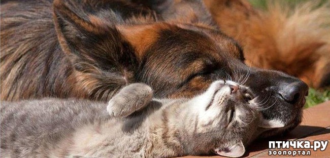 ���� 1: ������������ ���� 