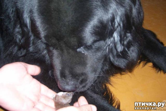 ���� 4: ������� ���� �� ����������, ���� �� ����))