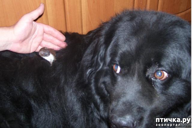 ���� 5: ������� ���� �� ����������, ���� �� ����))