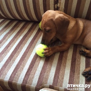 ����: ������ ����