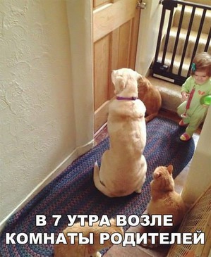 ����: � ��� ������ ����