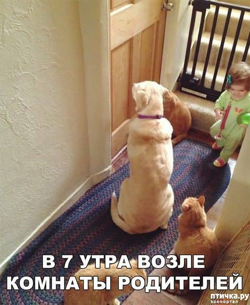 ���� 1: � ��� ������ ����