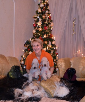 ����: ����������� ��������� �����. ������� �������� ���...