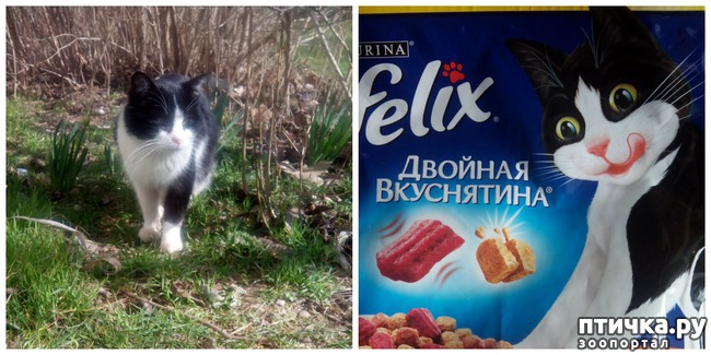 ���� 2: ��� � ������� ������