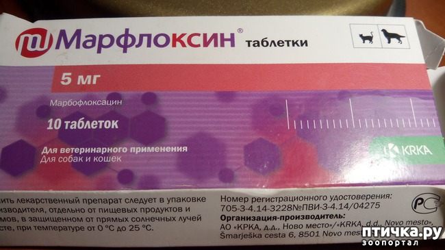 ���� 3: ��� � ������� ������