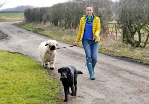 ����: ���� ������, ��� ��� ������. ������ �� ���� ���� �����