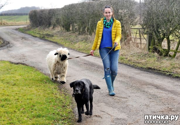 ���� 1: ���� ������, ��� ��� ������. ������ �� ���� ���� �����