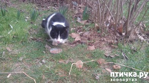 ����: ��� � ������� ������