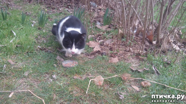 ���� 1: ��� � ������� ������